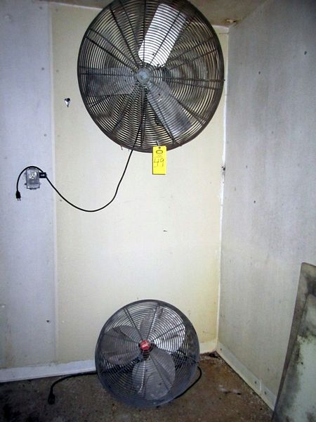 Fan