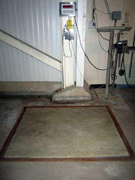 Digital Scale Head