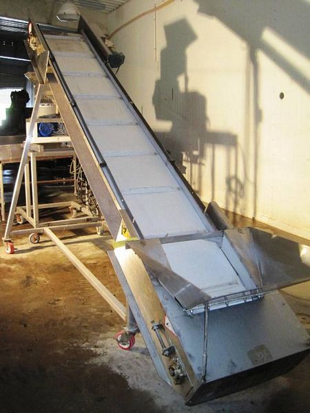 ighted neoprene belt, 1 1/2" high X 18" spacing, 3' discharge height, 36" W s.s. hopper      [