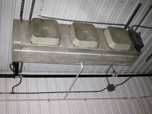 D01949   [Located in Hatton, North Dakota]