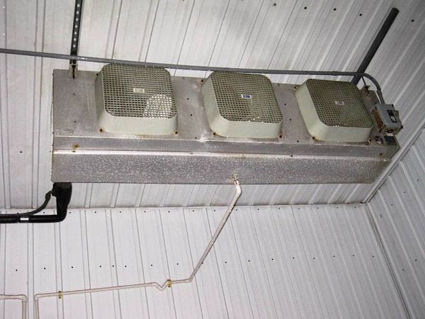 D01947   [Located in Hatton, North Dakota]