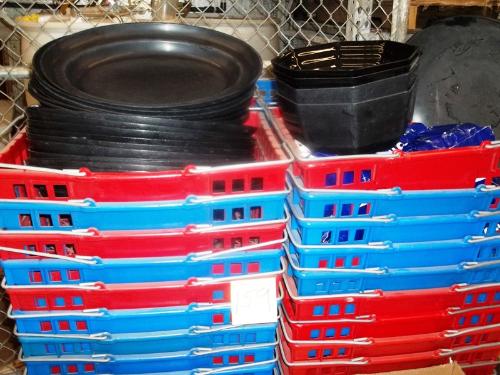 D, Plastic Dishes & Microwave
