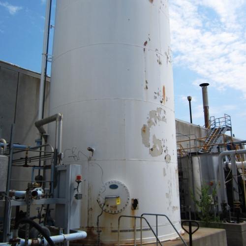 40 ft Tall X 13 ft Diam (NO REMOVAL UNTIL OCTOBER 20TH)