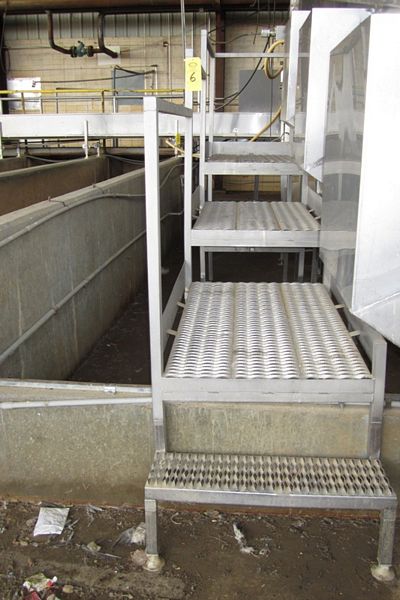 30" W X 4' L platforms, grated flooring