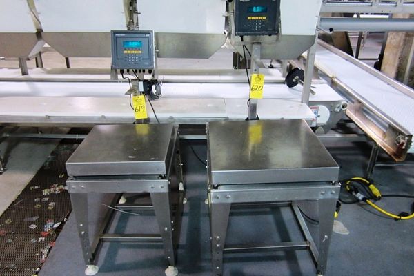 . stand, 20" W X 20" L s.s. top, 200 LB load cell capacity, "lights up"
