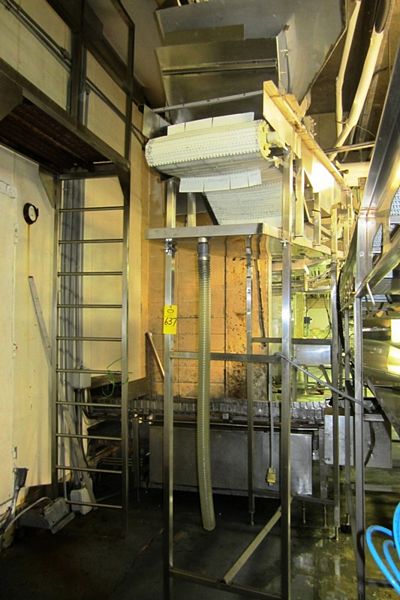 belt, 3" H flights, various spacing 8' T,  hydraulic drive (Frigo exit conveyor)