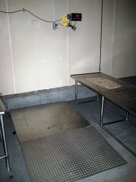 10,000 LB cap., 4' X 4', w/s.s. ramp & digital head  ; located in Chicago, Illinois