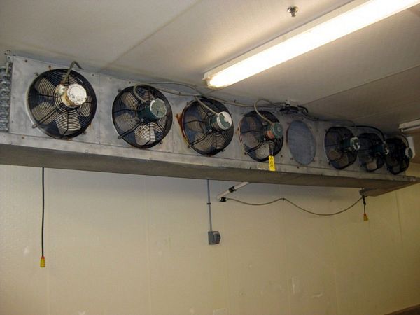 an, currently has 7 fans  **Located In Scranton, PA