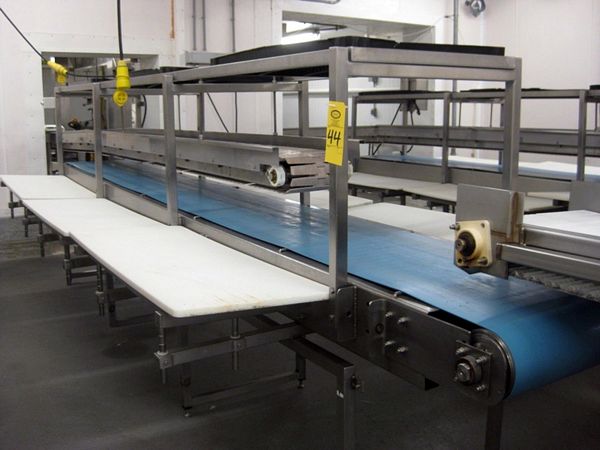stable height, 20" W X 48" L, Main belt, 21" W X 15' L neoprene belt & 24" W X 152" overhead shelf